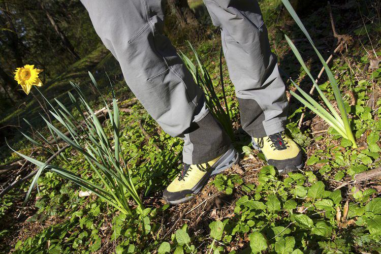 Reflecting on a Rainy Winter, Planning for an Epic Spring garmontnorthamerica.com/?p=3736