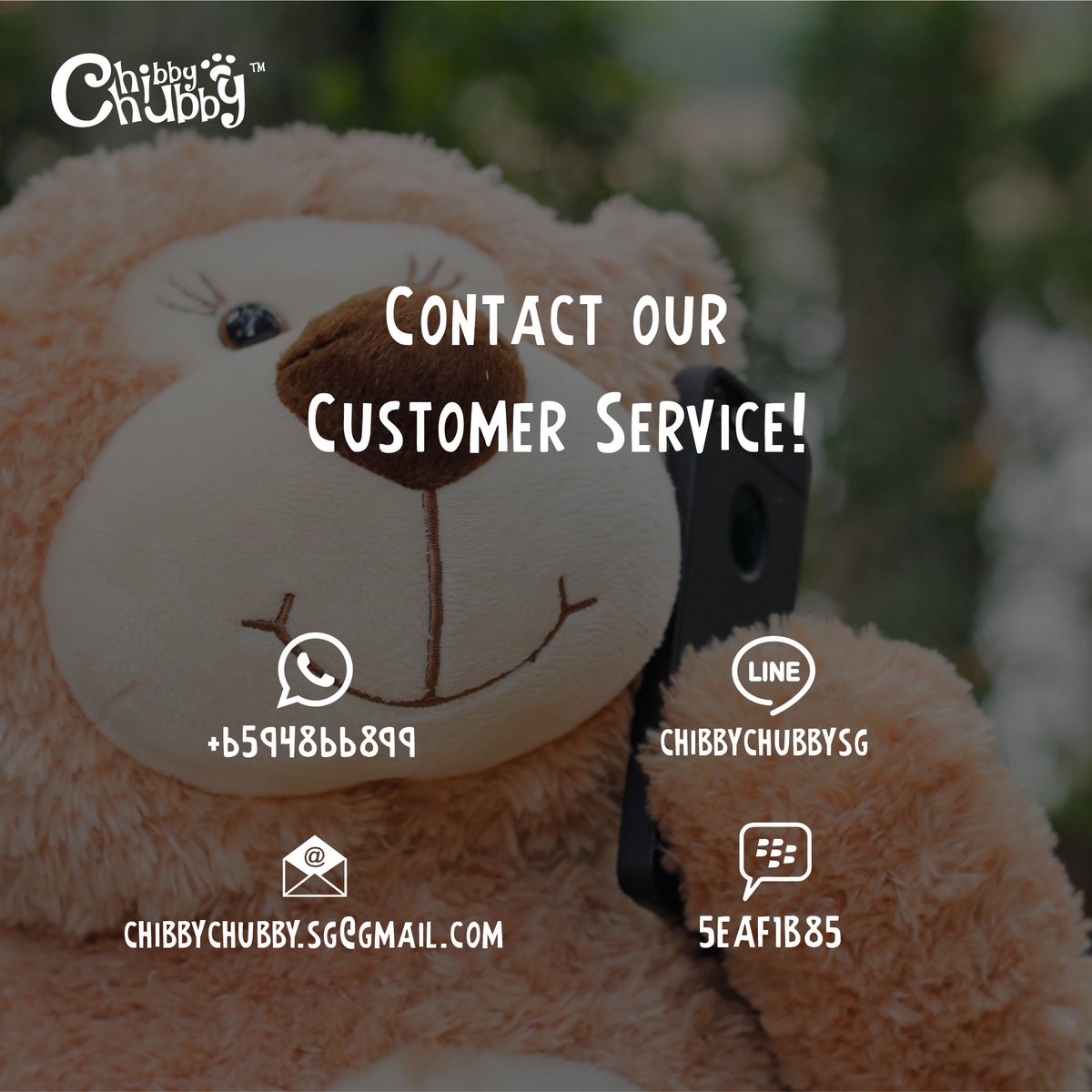 Please contact our CS:
Whatsapp at +6594866899
BBM at 5EAF1B85
Line: chibbychubbysg
Email: chibbychubby.sg@gmail.com