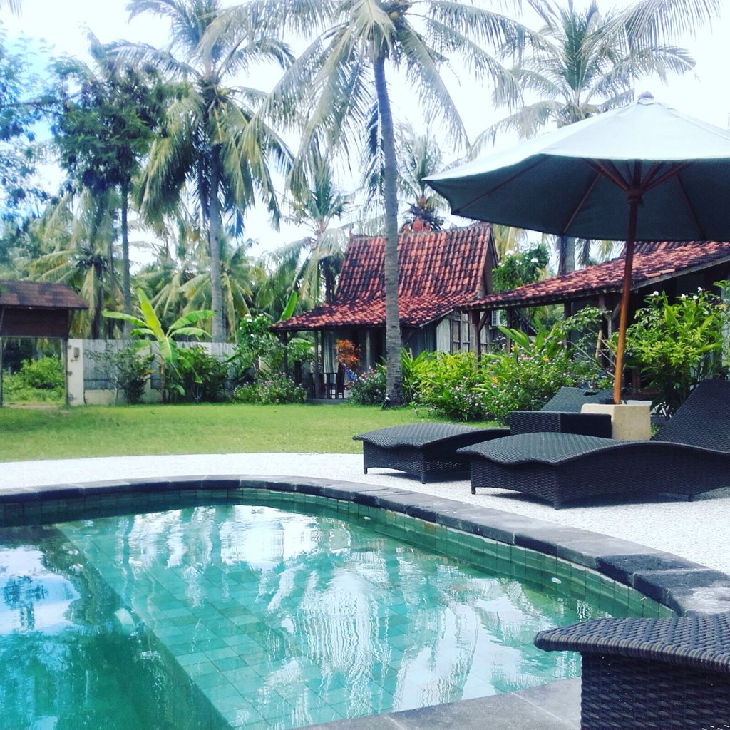 silvasurfT's tweet photo. Coconut garden resort https://t.co/rjubjiY3VG