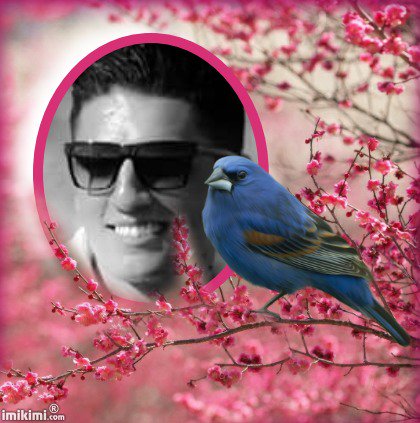 OustadhaSabrin's tweet photo. #محمد_عساف
#BigAppleMusicAwardsBestSocialMediaStar2016_MohammedAssaf   احلى عندليب فلسطيني صوته شجي و ضحكته رووعه https://t.co/8mVvoU0wPO