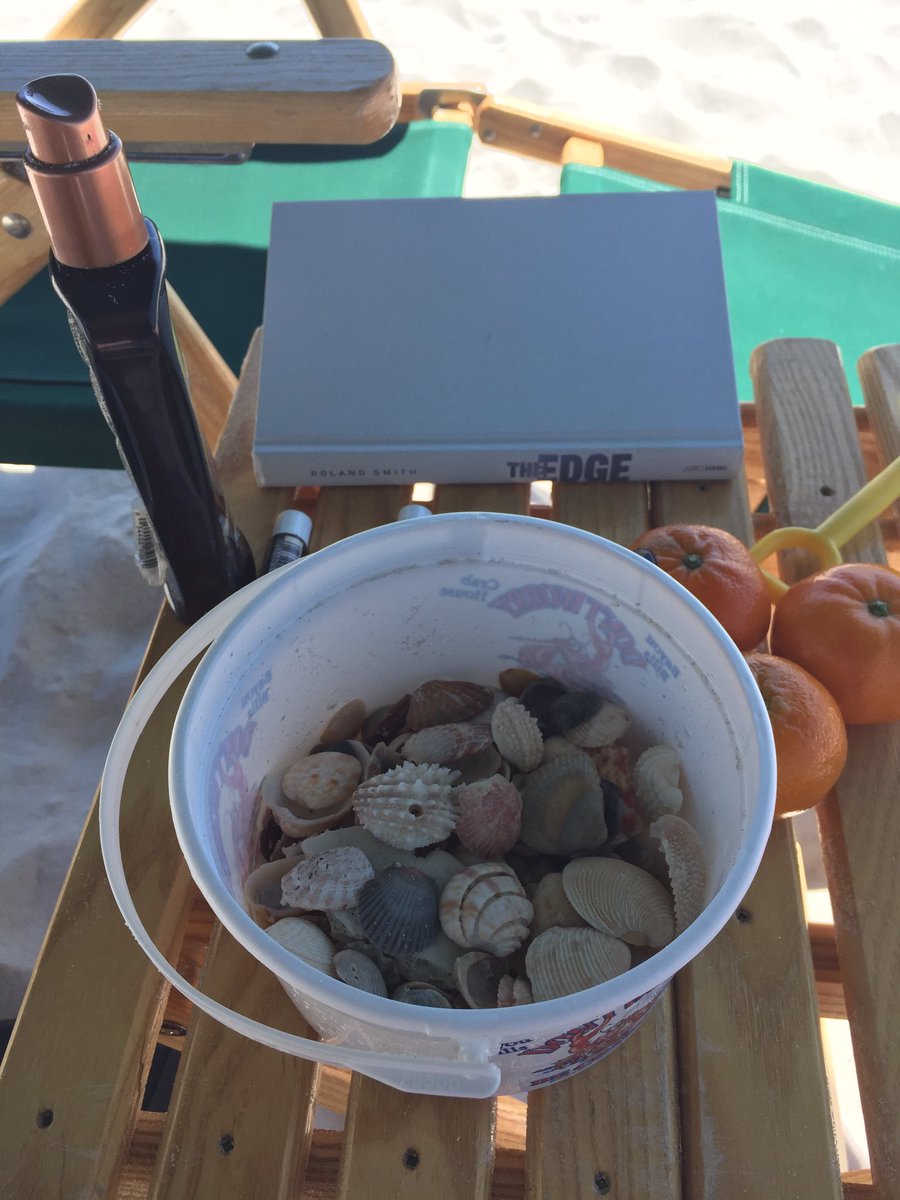 Harrison5thGrd's tweet image. @Nolzie16 Good news!!! I found more shells to add to the Siesta Key, Myrtle Beach, and Haiti shells!#shellhunter