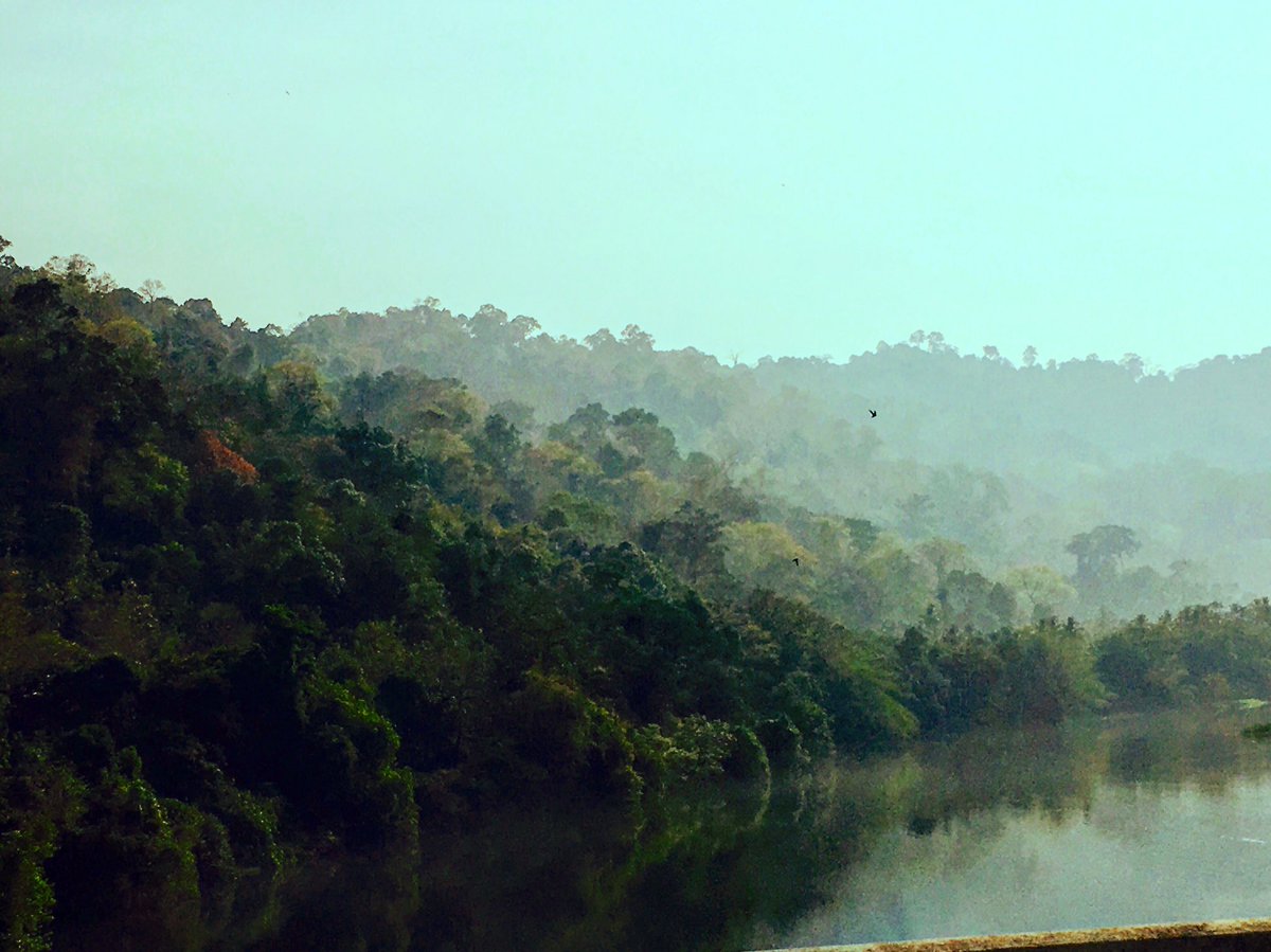 Rijazchachus's tweet photo. @KeralaTourism https://t.co/ygRQgm2YLd