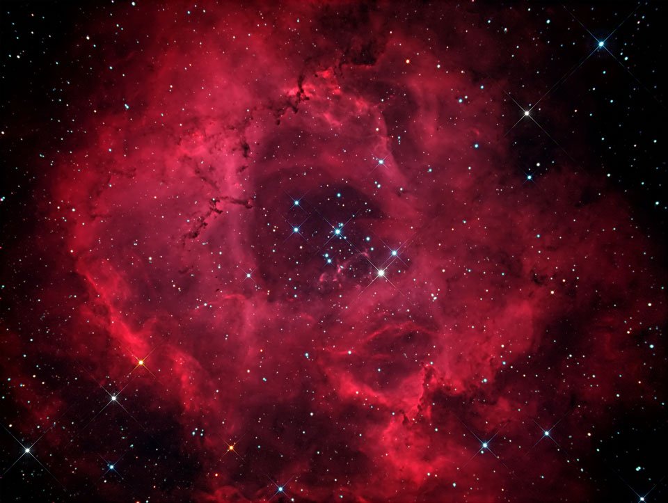 Spacescape__'s tweet photo. NGC 2244 - Rosette Nebula. https://t.co/amQmApgAVq