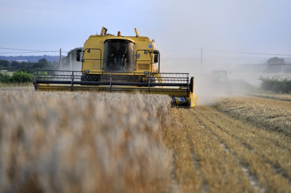SuffolkYoung's tweet photo. We're proud to source quality wheat from #local #farmers to make our #flour https://t.co/kQJoNOpPDq