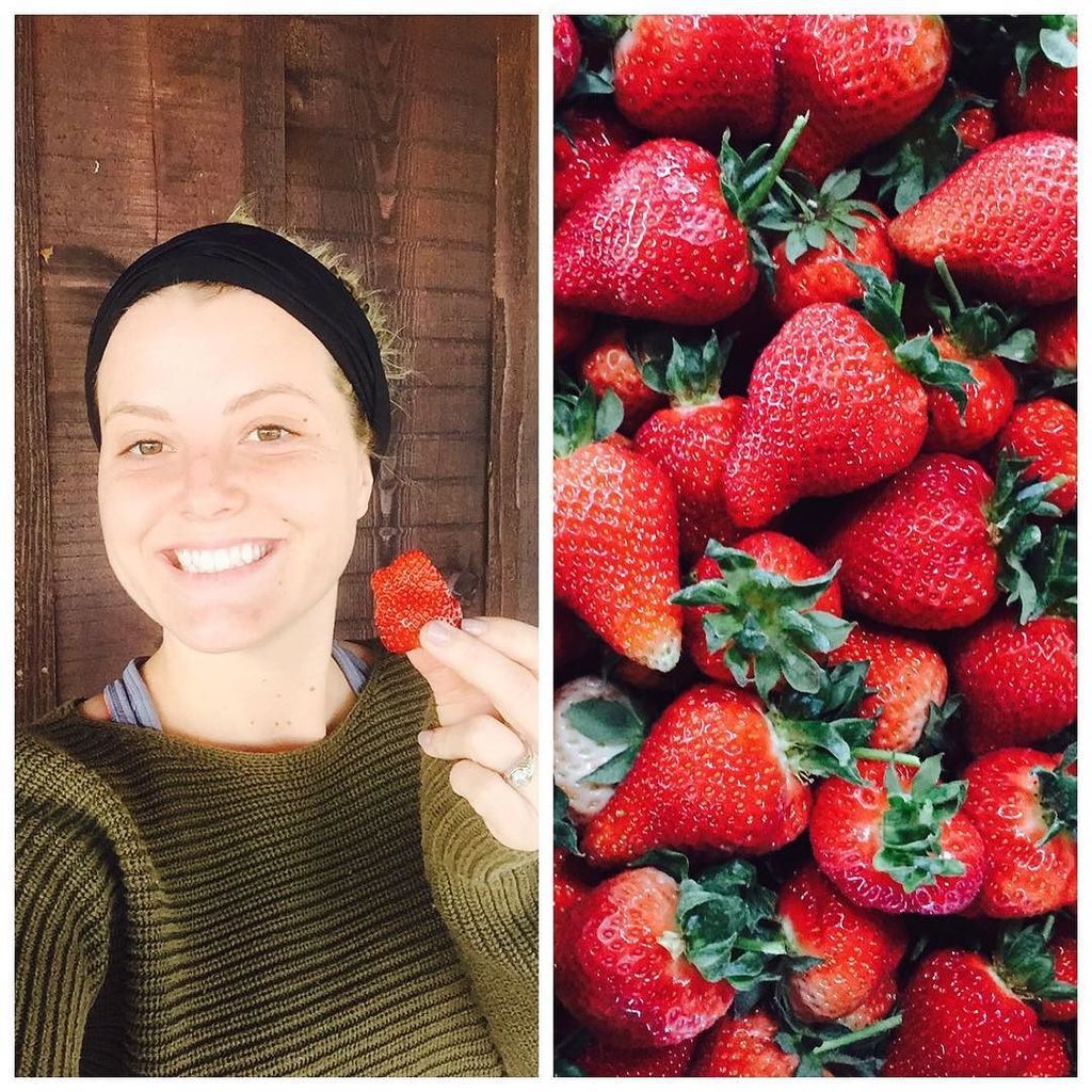 CheersVA's tweet photo. Decided to taste some of our #hydroponicstrawberries on break today 🍓 #vacider #workingfar… https://t.co/ChmTE4URAF https://t.co/EkiRswVqZG