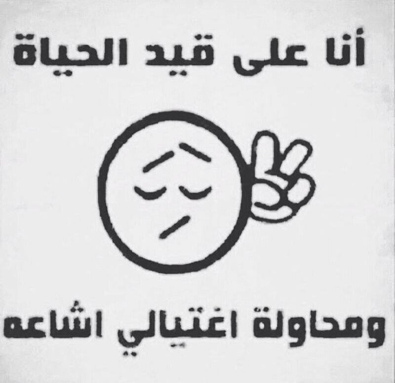 مساء الخير 

ممكن #رتويت