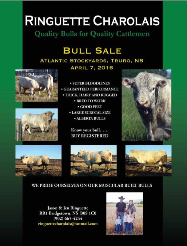 Getting close to bull sale time, we are excited to see everyone at the Atlantic Stockyards on Thursday #charolais