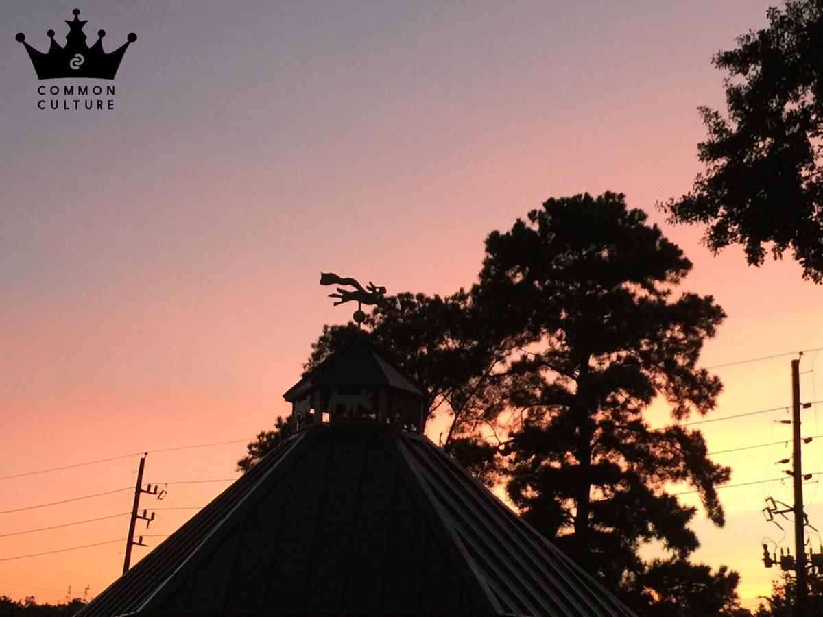 cecemancera's tweet photo. I took some new pictures β¨π @ConnorFranta @commonculture #picturesforconnor #connorinspired https://t.co/Q9gLRvcpcv