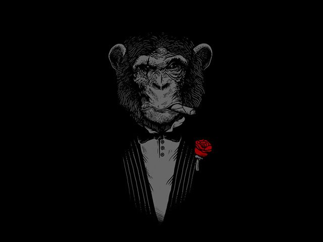 Madrugonazo a bachaqueros: Descubren complicidad entre empresas, funcionarios y mafias  goo.gl/jiWudN