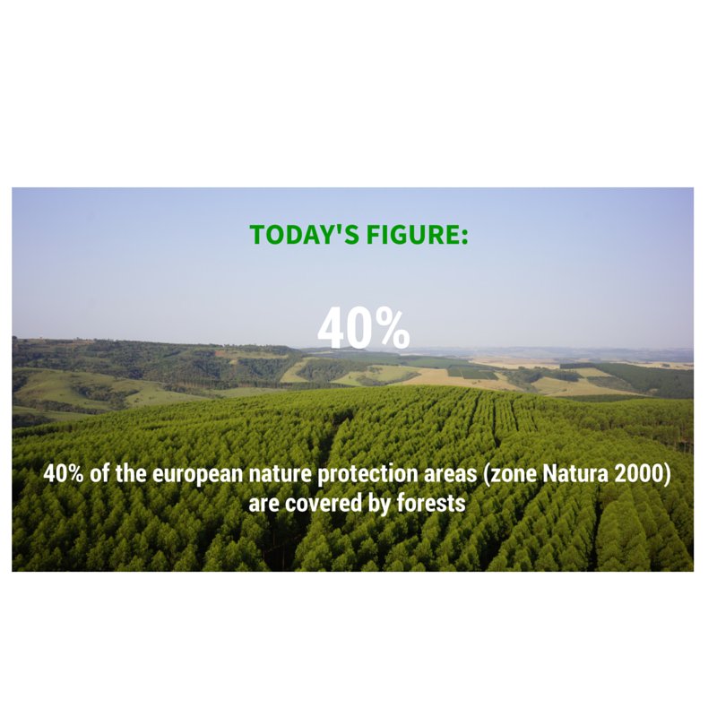 Brforestslb_en's tweet photo. SLB TODAY's FIGURE: https://t.co/e4d8GpsKT8