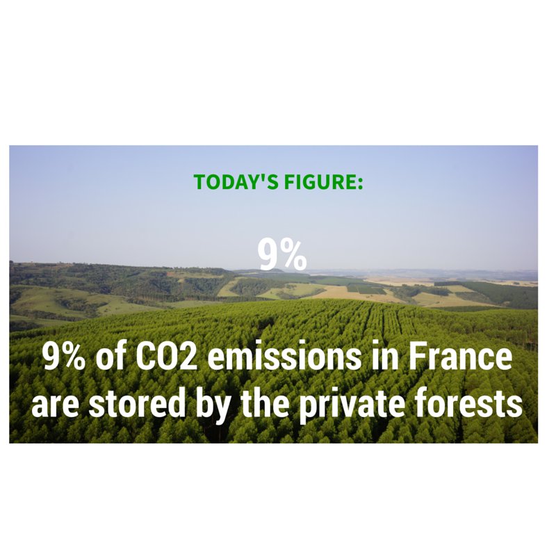 Brforestslb_en's tweet photo. SLB TODAY's FIGURE: https://t.co/FfqdStQmxp