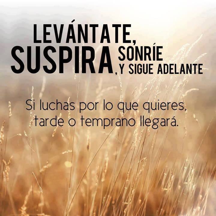 LetySanchezf's tweet photo. a por el segundo asalto #ReEIR, #EIR2017 @CTOEnfermeriaES https://t.co/CAWJhwekYE