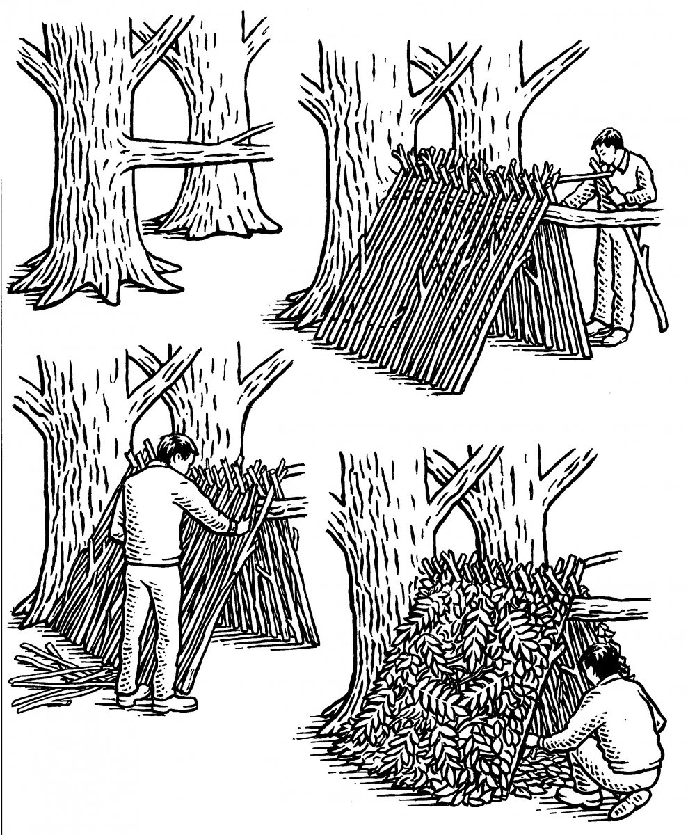 CountryfileMag's tweet photo. Kids off school this week? Why not  build a den with them. Here's how: https://t.co/7I5AriMWBi Share your den pics! https://t.co/YT8i6dIiiD