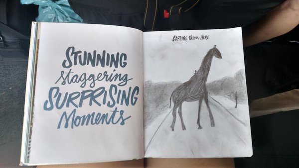 jamieditaranto's tweet photo. The book that got me drawing again is available in the US today. https://t.co/OVRCSwm5DU #DoBigSmallThings https://t.co/p5mKQvCQ5o