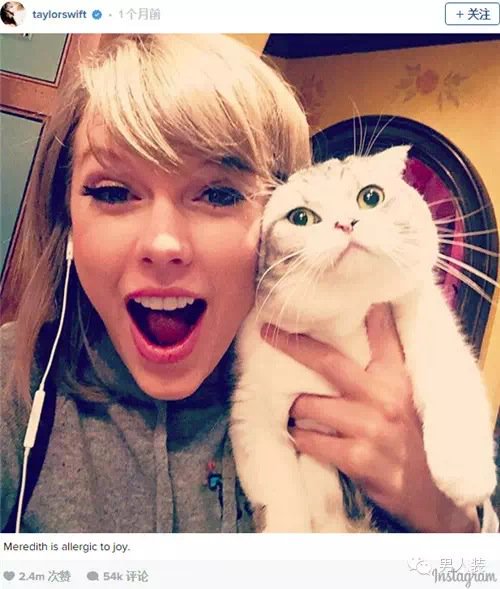 taylor13swift17's tweet photo. Hello everyone!!! https://t.co/XjRzNehI0Z