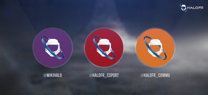 Halo.fr (@halo_france) on Twitter photo Pour rappel, Halo.fr possède d'autres comptes twitter :
➡ <a href="/WikiHalo/">Halo.fr | WikiHalo</a> <a href="/HaloFR_Esport/">Halo.fr Esport</a> @HaloFR_Commu Pour rappel, Halo.fr possède d'autres comptes twitter :
➡ <a href="/WikiHalo/">Halo.fr | WikiHalo</a> <a href="/HaloFR_Esport/">Halo.fr Esport</a> @HaloFR_Commu