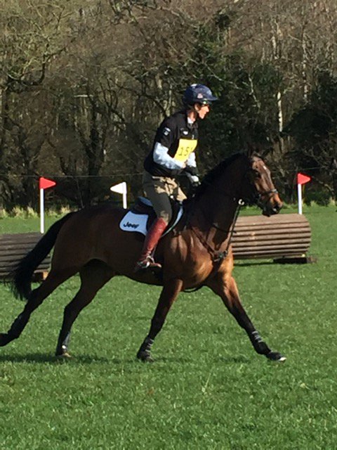 Fox-Pitt Eventing tweet media