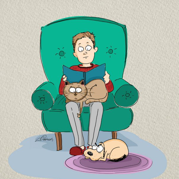 coolchizine's tweet photo. #Chats contre #chiens: Le jeu des 6 différences par l’illustrateur russe Bird Born
https://t.co/egAdSnm8Pq https://t.co/TRY6Dt5CDx