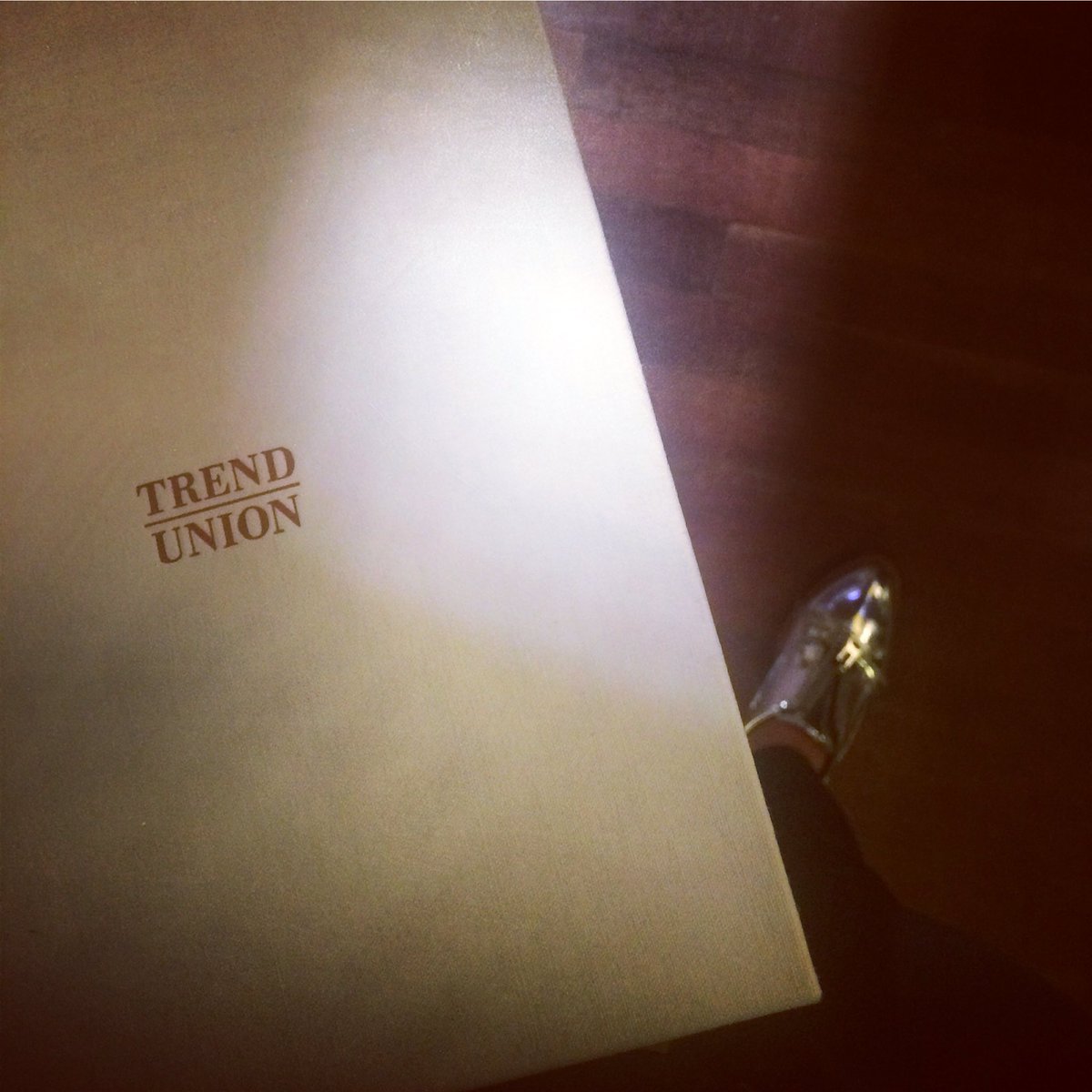 TAKEaCiCi's tweet photo. And now... I have my long longed @edelkoort #trendbook 😍 #trendseminar #trendunion #edelkoort https://t.co/JfoZNAw25N