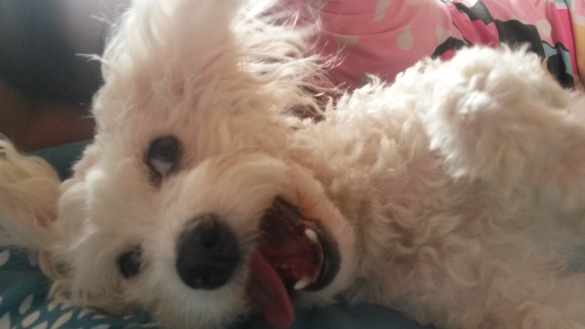 LoreColNativa's tweet photo. Mami puedo dormir contigo? #AmorVerdadero #Sassy https://t.co/Nwk5la5Cfl
