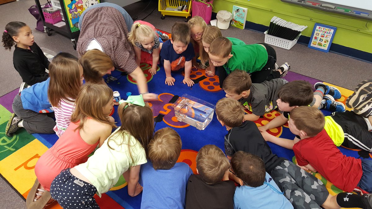 westwoodelm's tweet photo. Mrs. Bryant's class is in deep thought observing their fish this morning! #livecritters https://t.co/qG2XjGCO3V