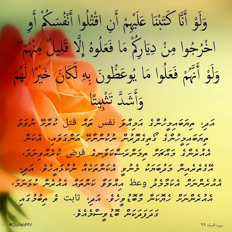 QuranMV's tweet photo. Think about the last part of this nobel verse! #ThinkQuran #verseoftheday #QuranicLife
https://t.co/ZWoq8CfQqu https://t.co/k1x4wsKy88