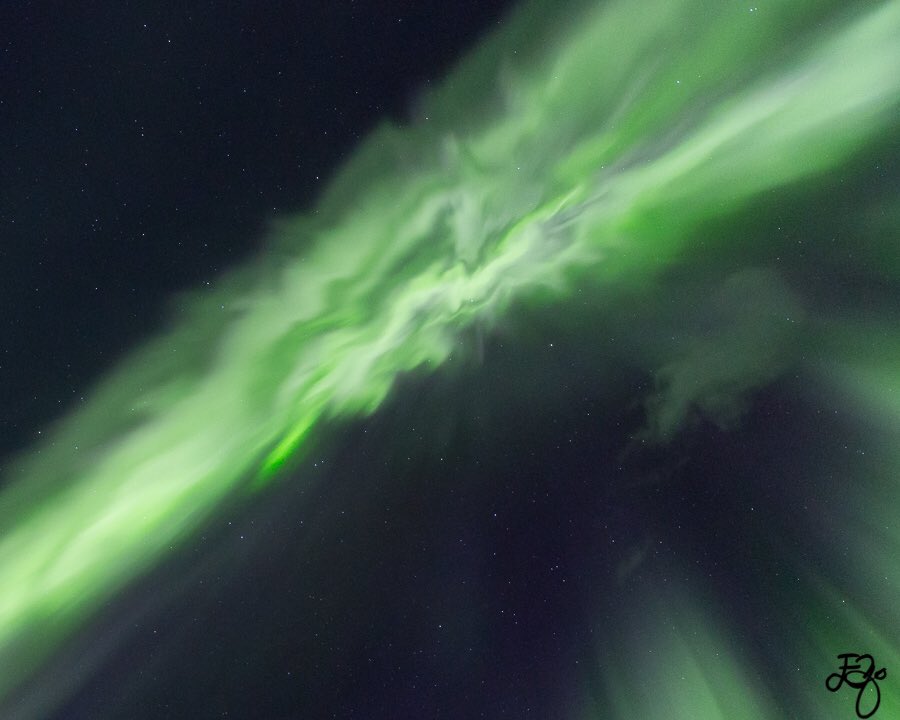 Eva Olsen Photography tweet media