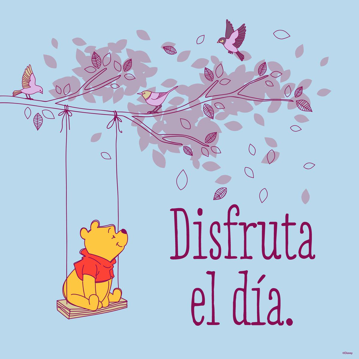 BabyUpMx's tweet photo. ¡Aprovecha al máximo el mes Abril con tu bebé! #MesDisney #Disney #FelizMartes #WinniePooh #BabyUp https://t.co/VDQ02MLu0M