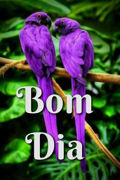 ana0goetz's tweet photo. Bom dia https://t.co/lfUiURFrVE
