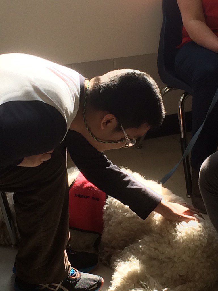 nicolsonspeced's tweet photo. Feeling better already! Thank you Therapeutic Paws of Canada!! https://t.co/ei2aXNmeE8