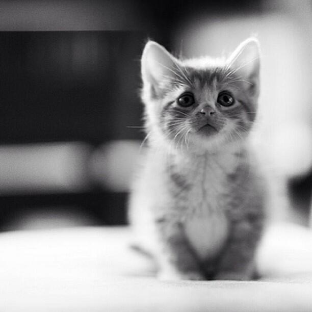 AnaAlegriaE's tweet image. No matter how hard the past is...
U can always begin again!!!
#TrustTheProcess 🌻
Hope U have a Great day!