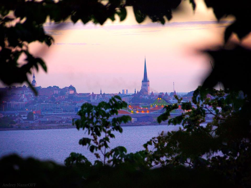 Хорошего вечера!
#Eesti #Estonia #Эстония #Tallinn #Таллинн #EstonianLife  #visittallinn #balticnewslife #BNL