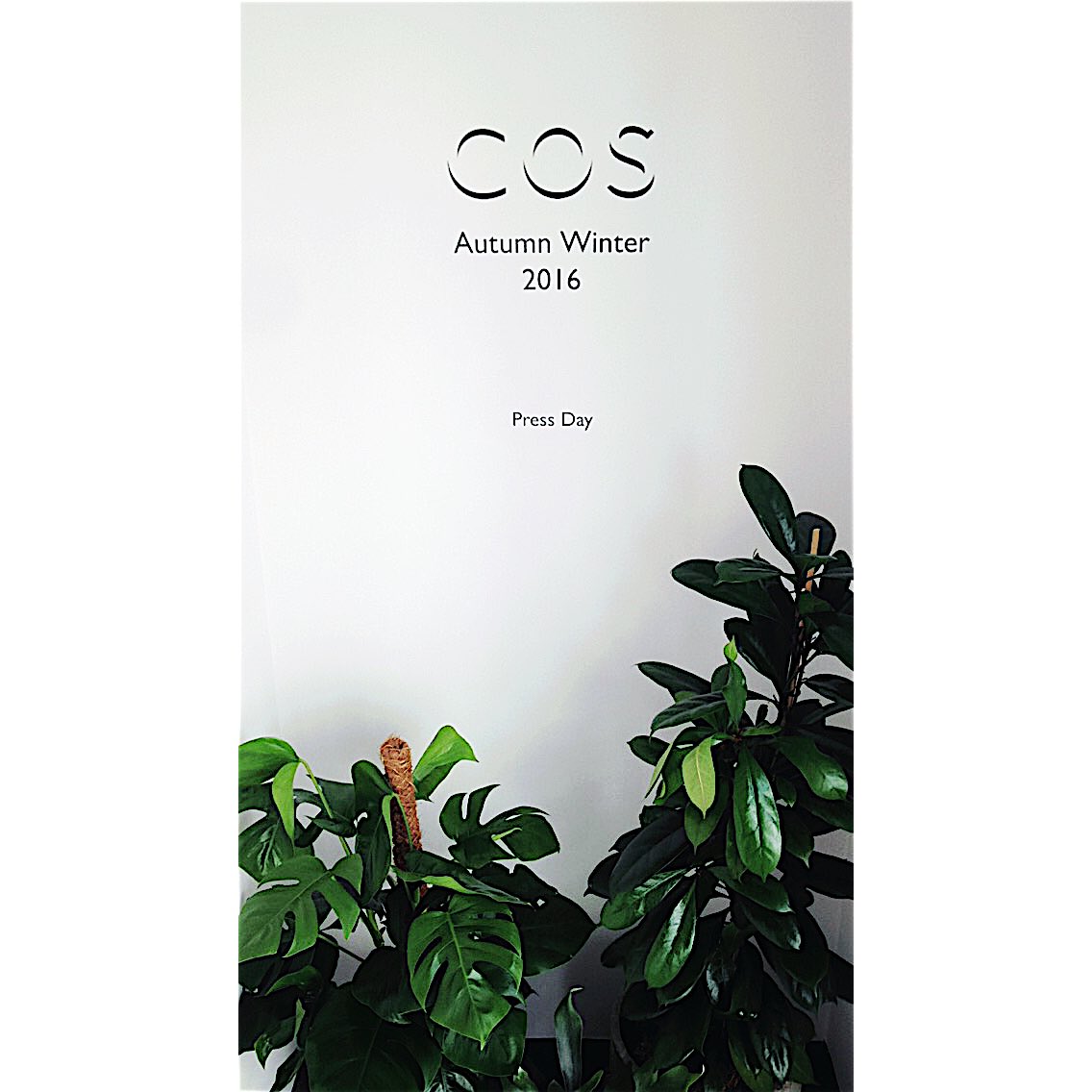 mrk_anthny_'s tweet photo. Fell in love with the new COS collection ten times over! 👏🏼 #cosAW16 #COSDublin https://t.co/NcAbvVx8kf