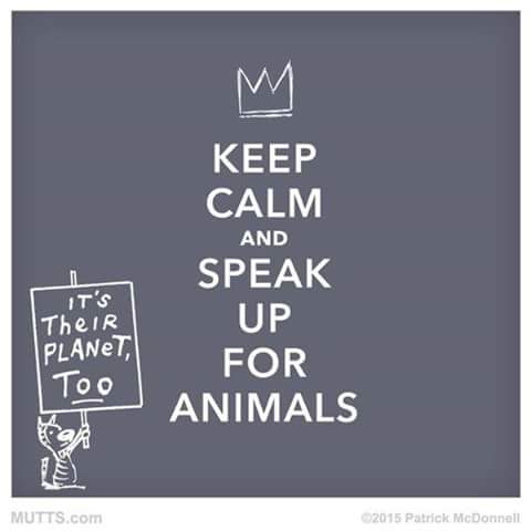 JAY (@4091f53db9554a0) on Twitter photo 