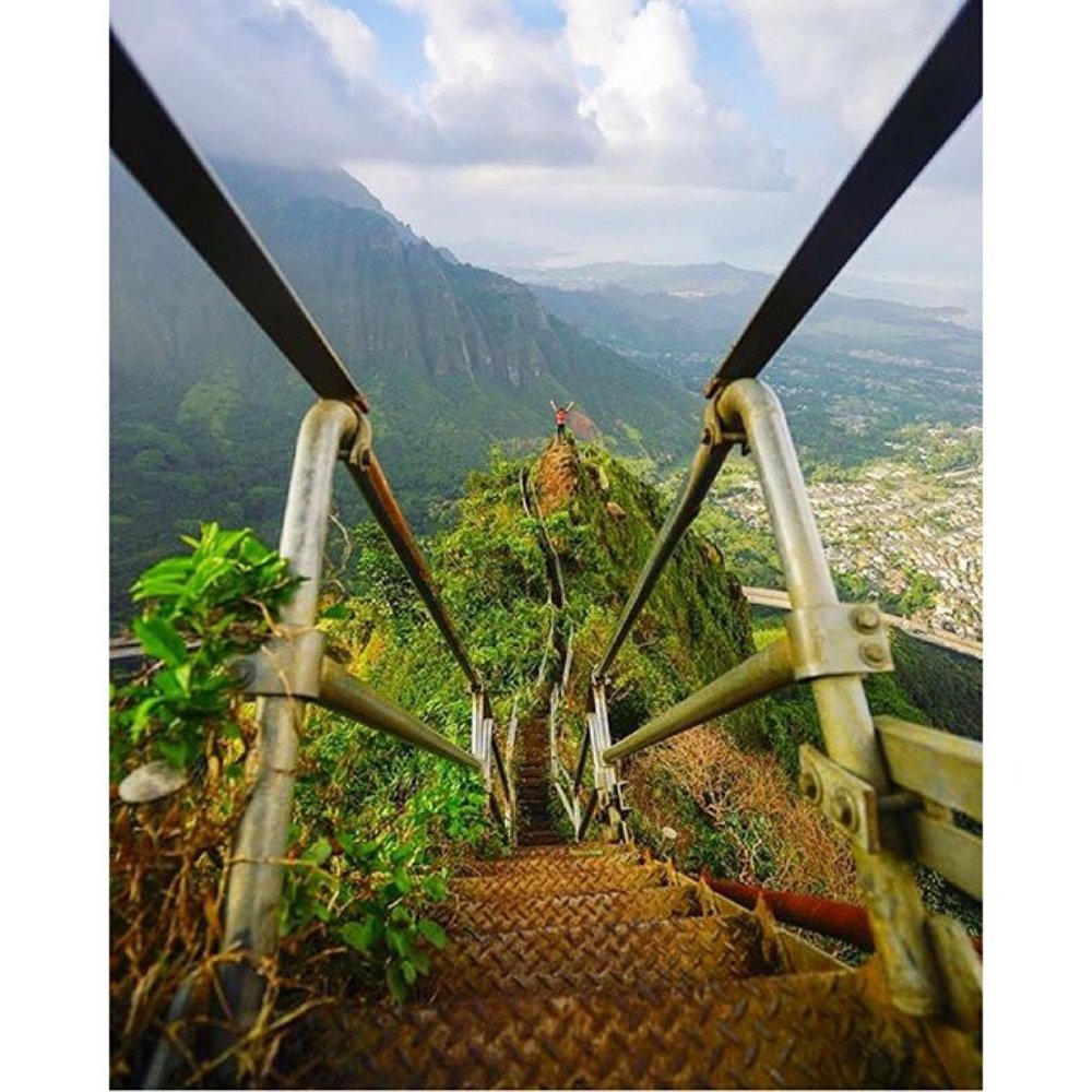 sumLifeGoals's tweet image. Tag who you'd go with!
Oahu, Hawaii. 📷: @ everchanginghorizon on IG🌵🌴