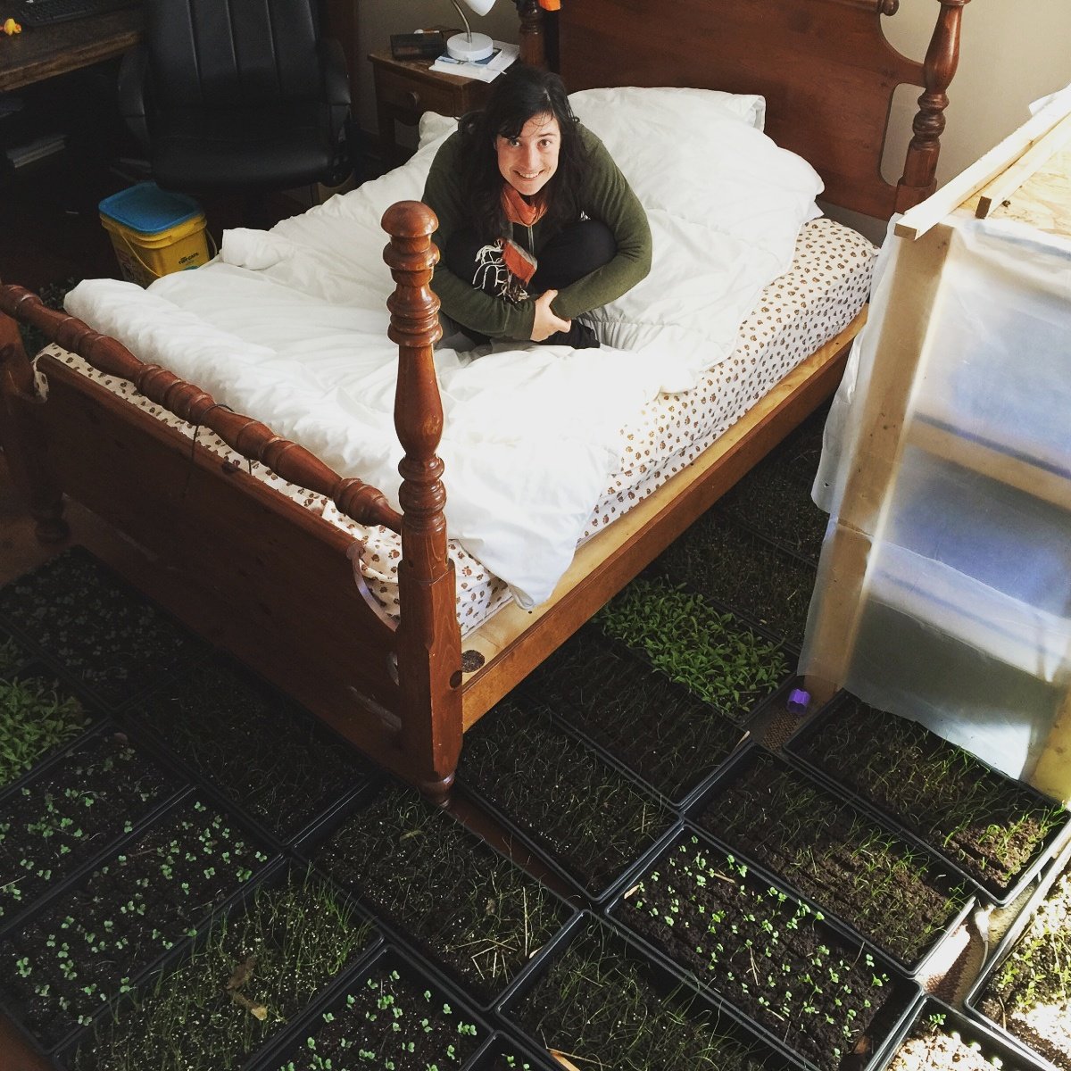 KnownSourceFarm's tweet image. This blustery #winter weather brought us some houseguests overnight! #FARMER2016