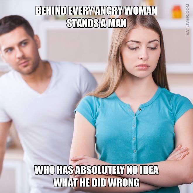 MeninistTweet tweet picture