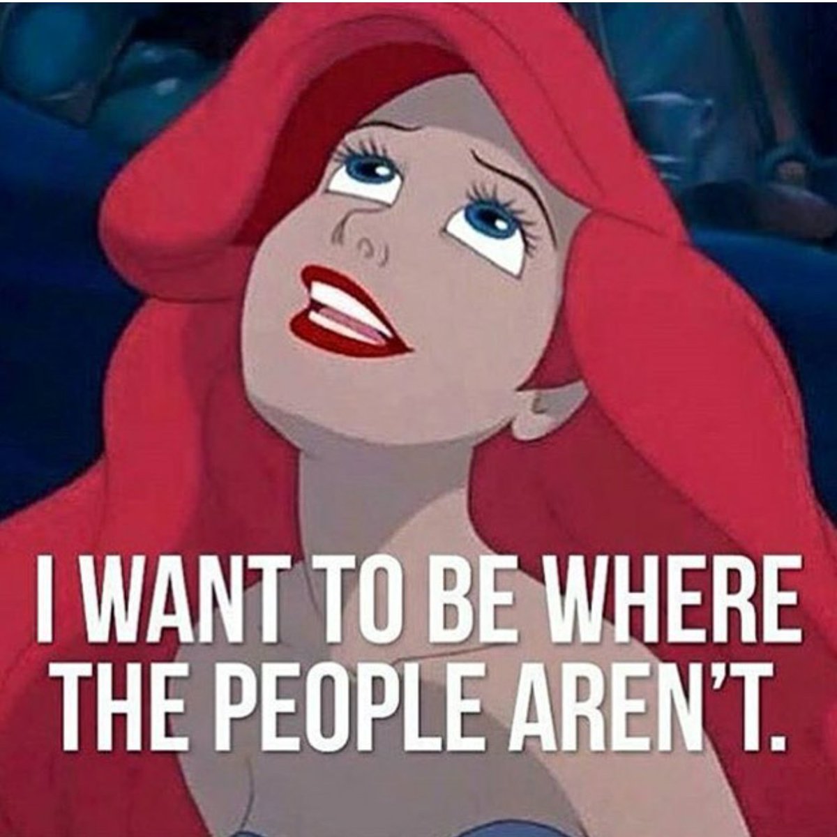 Michelle Shaw (@roxirox_77) on Twitter photo 