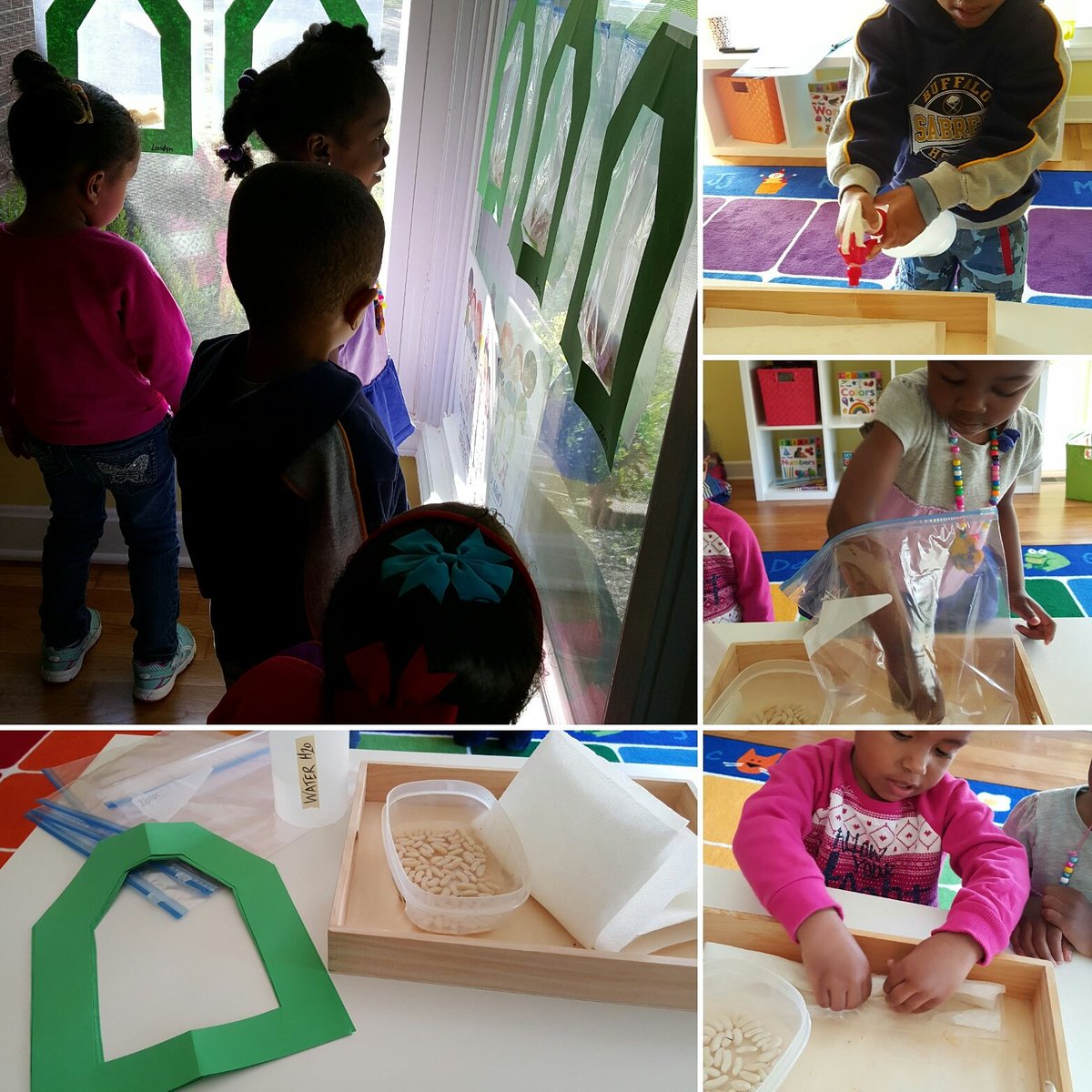 tweet_CKC's tweet photo. The kids planted bean seeds in mini green houses. #seedsandplantsprektheme #growingseeds #ckclilgardeners #ckckids https://t.co/vTYOZEDMdr