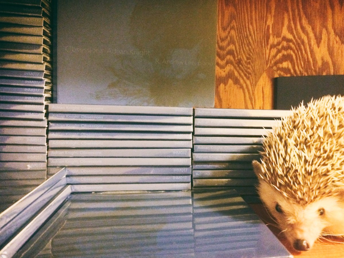 HedgehogMusic's tweet photo. Osbert wants his nap spot back. Grab a copy of our latest by @adrian_knight_ &amp; @andyleedma https://t.co/Xc8Q8yx4UM https://t.co/09kj0q2nU8