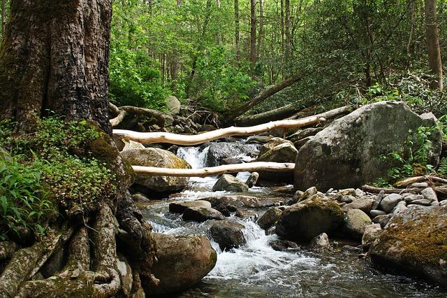 SevierFun's tweet photo. Can you hear the rushing stream? It's time to start planning your vacation to Sevierville! #SpringInTheSmokies https://t.co/rb4HjTrGDF