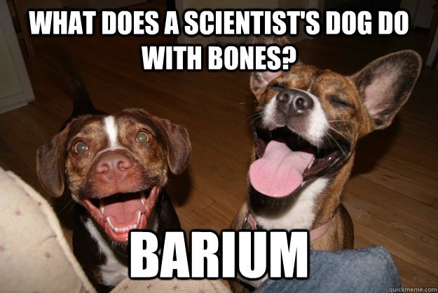 yourvetfox's tweet photo. bwahahhahahhhahahaa https://t.co/ajoTjlFgGp