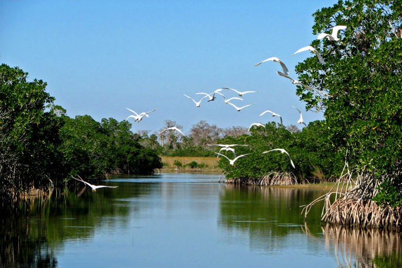 UseOliom's tweet image. Considering a move to #Miami area? Here's honest local opinions on our pros &amp;amp; cons.. bit.ly/1MQctSk