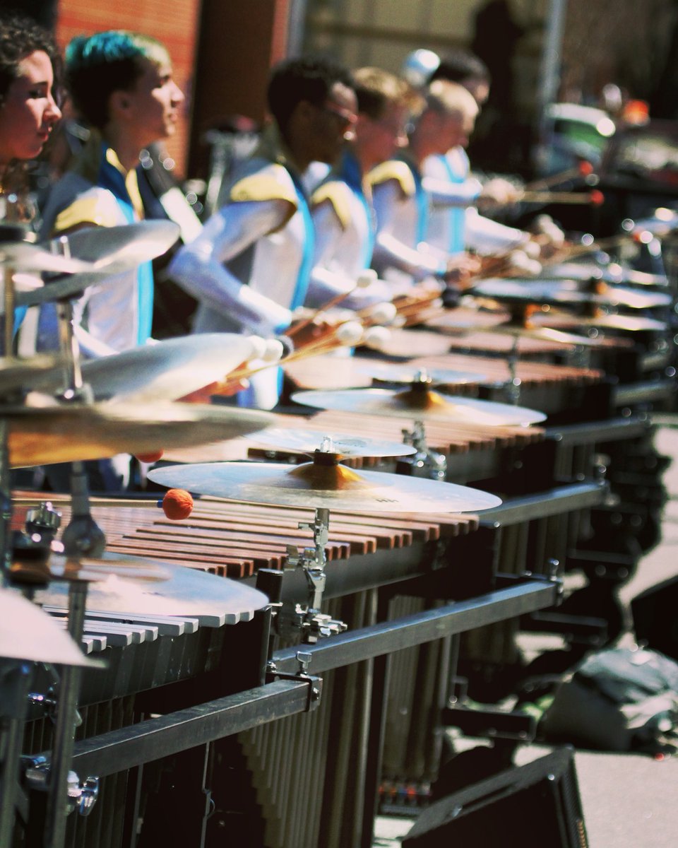 PalmettoPerc's tweet photo. 📷: David Torrento https://t.co/U3POGcTw2V