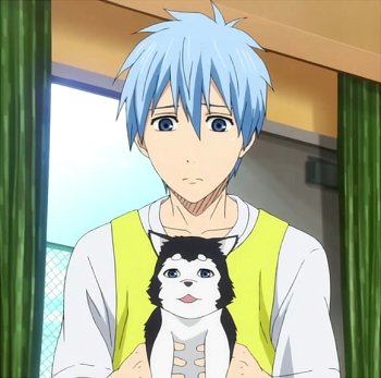rt_animescenes's tweet photo. Kuroko and Nigou (Kuroko no Basuke)

#OTPCrackShips https://t.co/8Ilj4UxSLi
