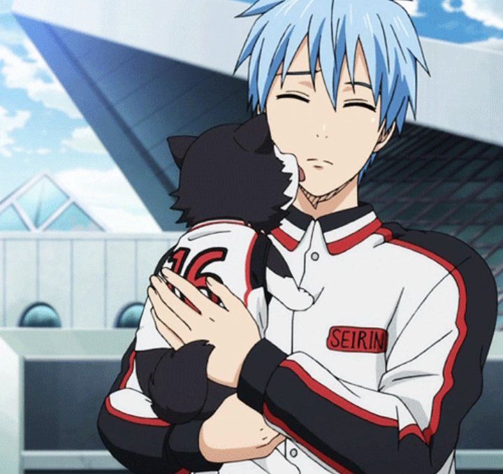 rt_animescenes's tweet photo. Kuroko and Nigou (Kuroko no Basuke)

#OTPCrackShips https://t.co/8Ilj4UxSLi