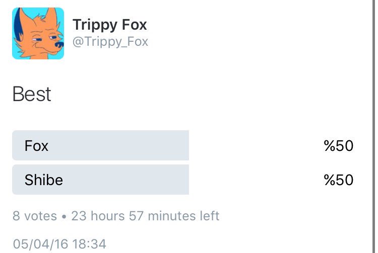 Trippy_Fox's tweet photo. @Trippy_Fox vs. @SolidShibe #TrippyFoxAlert https://t.co/mo9gJcm1KX