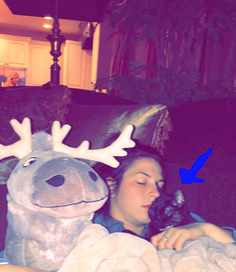 syddick17's tweet photo. I have never been this sad in my life. Bye bye kitty ❤️❤️❤️ https://t.co/AOjmZm891s