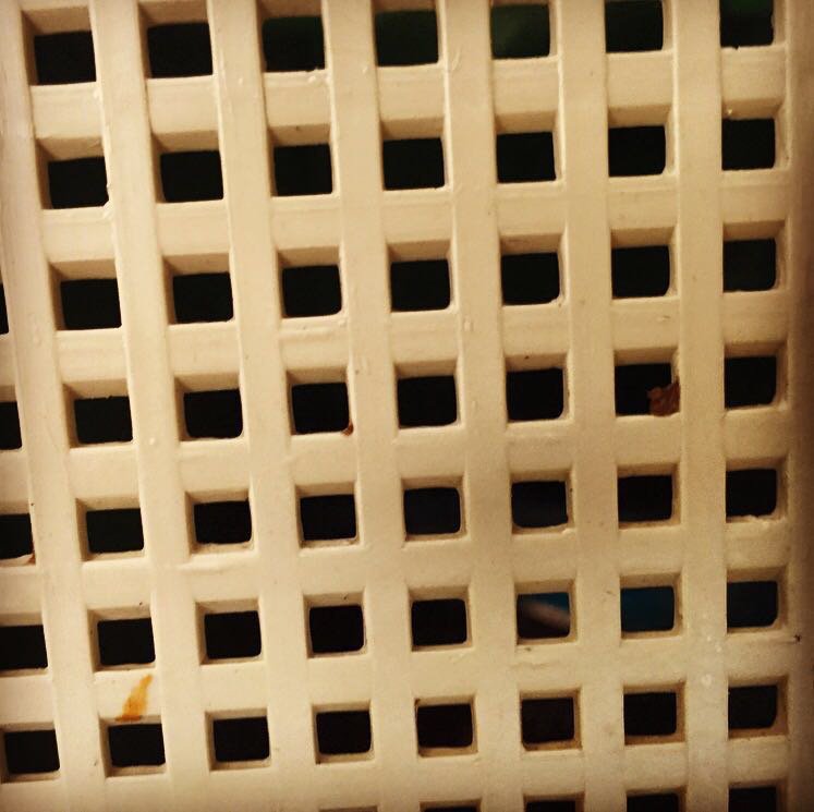 omar_hadidi's tweet photo. Mysterious object found on AUC campus, can you guess what is it ? #gbl #gchangers #games4ed #zaneenglish203 https://t.co/Qa7wZhdGYz