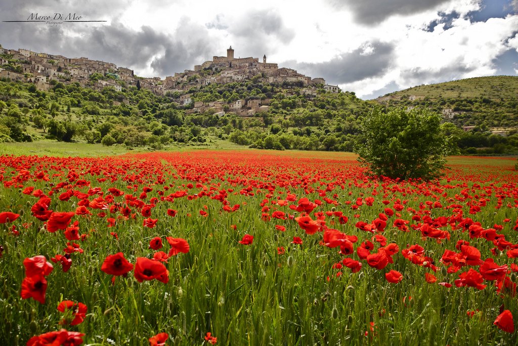 SweetItalia's tweet photo. Landscapes of #Abruzzo Ph. Marco Di Meo https://t.co/ZQgESkDCk1